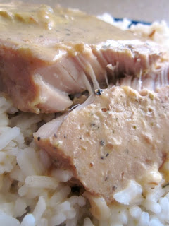 Crockpot Rice and Porkchops Recipe - (4.4/5) image