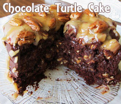 Cake Mix Turtle Bars - Cooking With Carlee