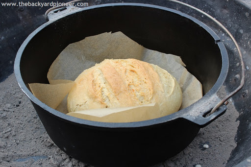 Campfire Dutch Oven Bread Recipe - (4.7/5) image